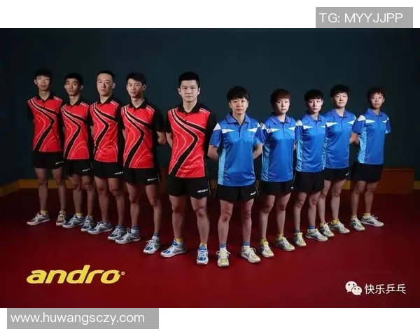 南京乒乓球队与武汉乒乓球队赛后复盘分析比赛经验与战术策略 南京乒乓球队与武汉乒乓球队赛后复盘分析比赛经验与战术策略